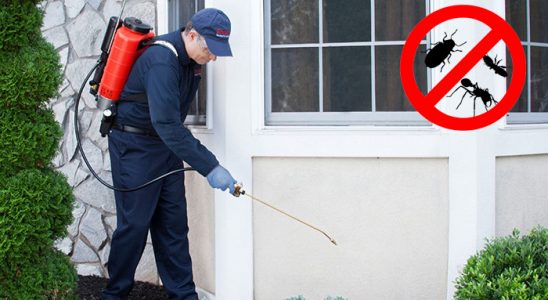 Bekilli Fare İlaçlama böcek ilaçlama ve haşere kontrolü — ilaclama-tr.com